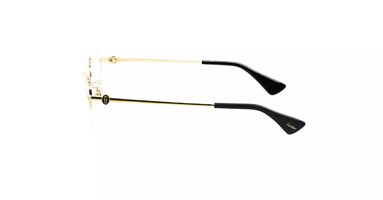 Cartier CT0415OA 001 s53