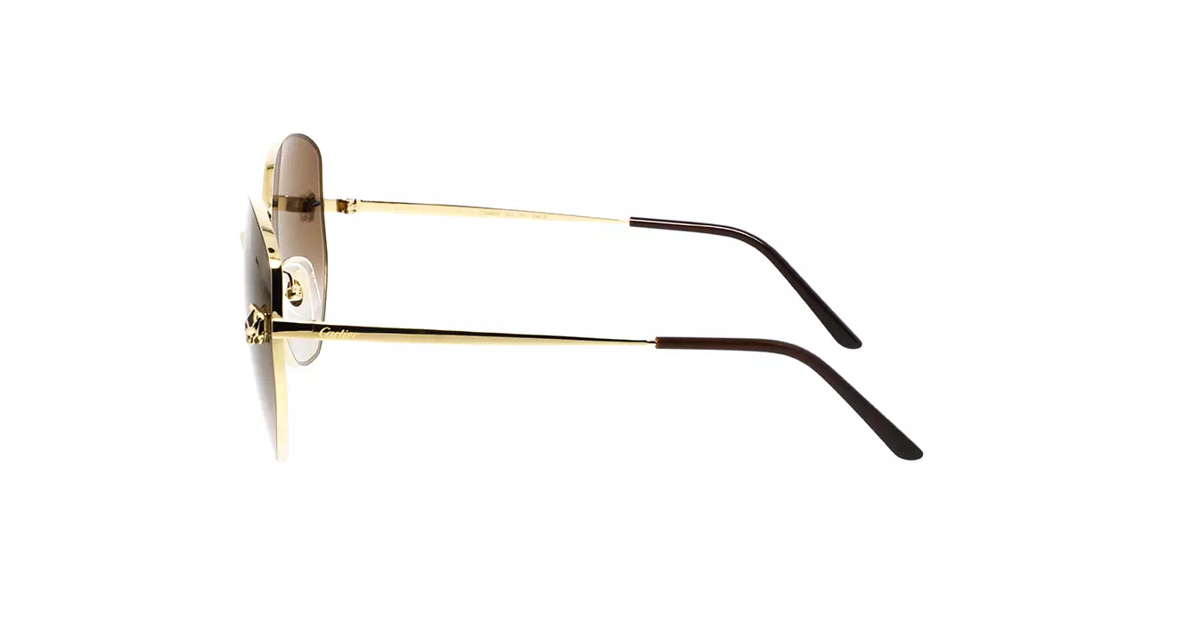 Cartier CT0400S 002 s62