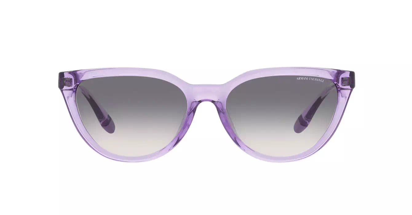 Armani Exhange AX4130SU 8236/79 s56