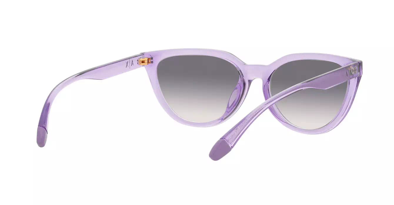 Armani Exhange AX4130SU 8236/79 s56