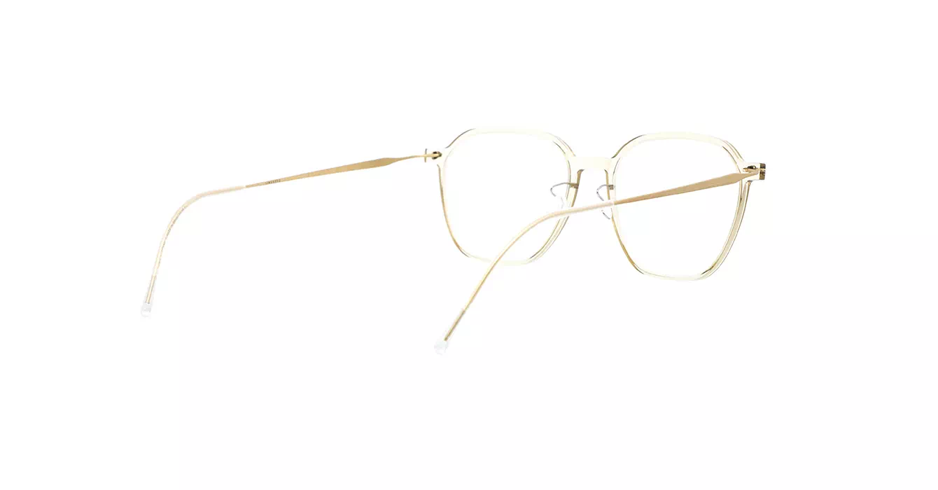 Lindberg 6627-803 C21-GT/EG s50