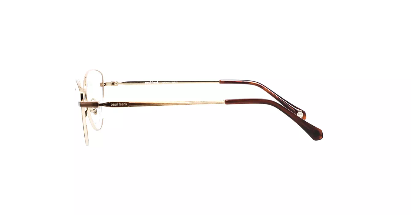 Paul Frank PFF8257 4033 s50