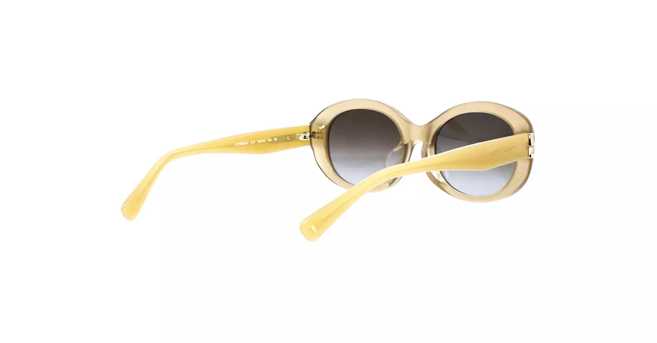 Longchamp LO748SLBJ 272 s52