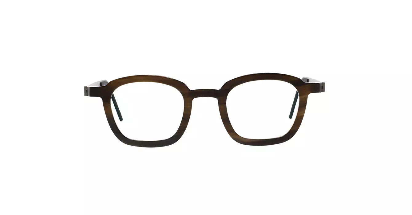 Lindberg 1858-219 H18-10 s45 BUFFALO