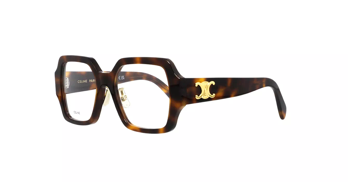 Celine CL50131F 053 s52