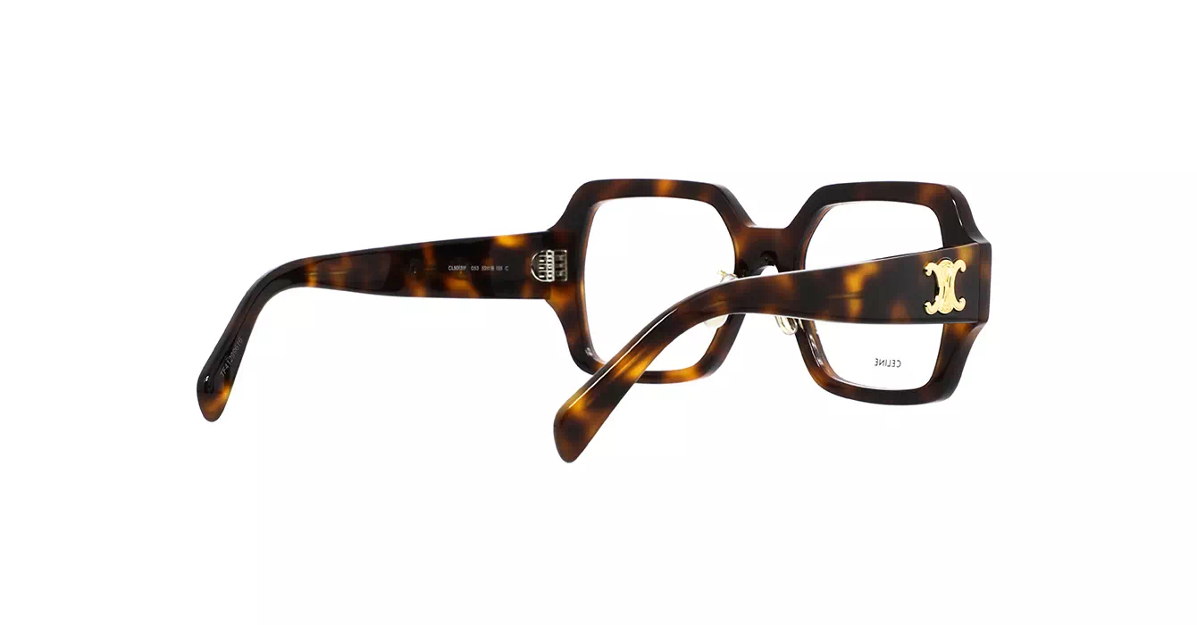 Celine CL50131F 053 s52