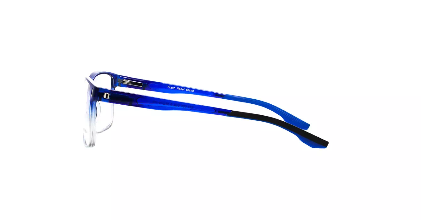 Franc Nobel Gland ZS2-004 C3 s55 + Clip On