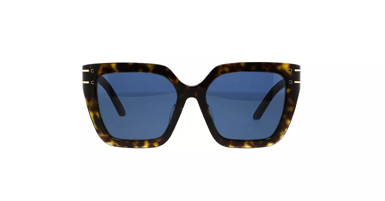 Dior Signature S10F CD40131F 20B0 s55