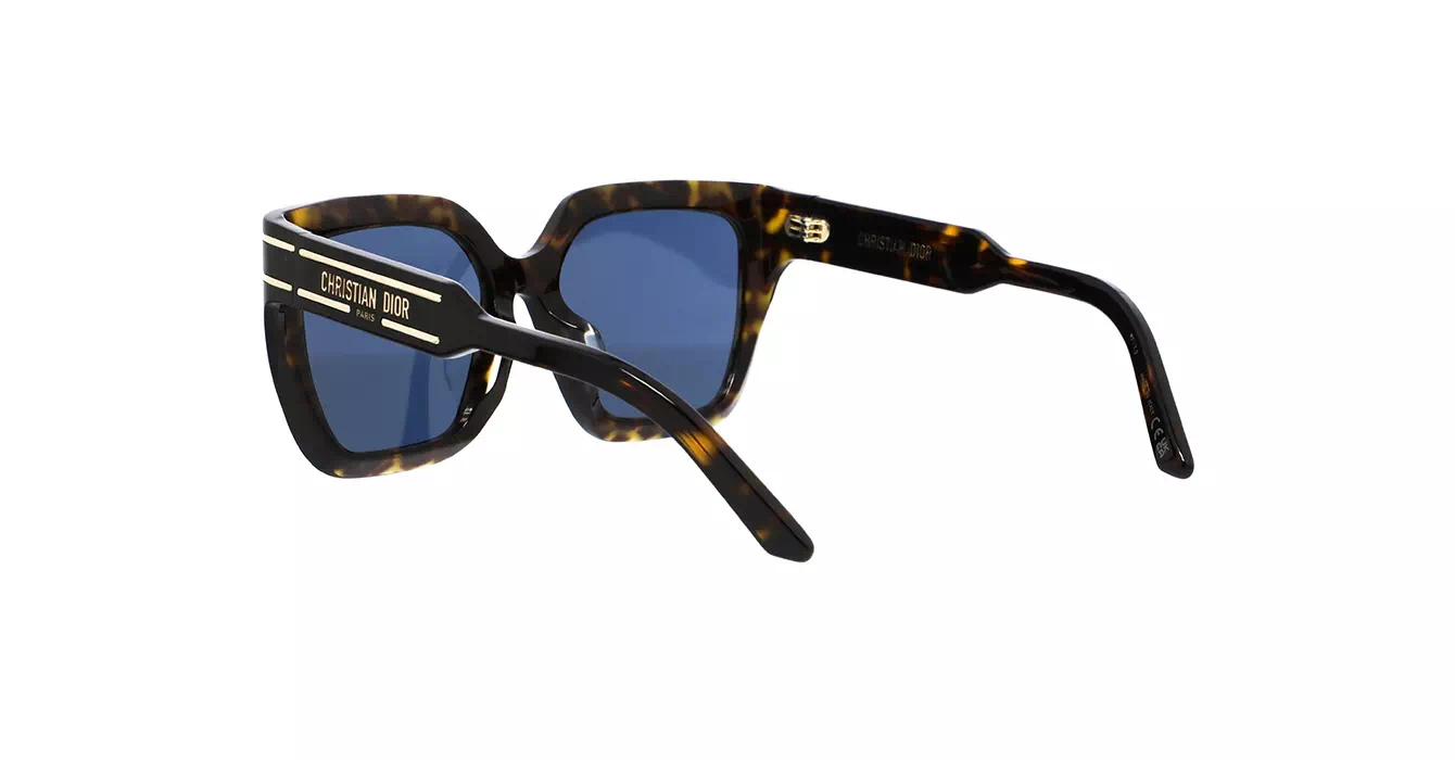Dior Signature S10F CD40131F 20B0 s55
