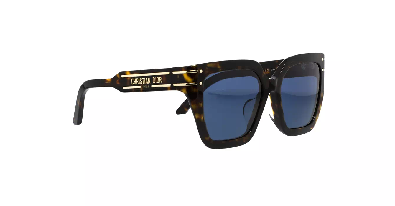 Dior Signature S10F CD40131F 20B0 s55
