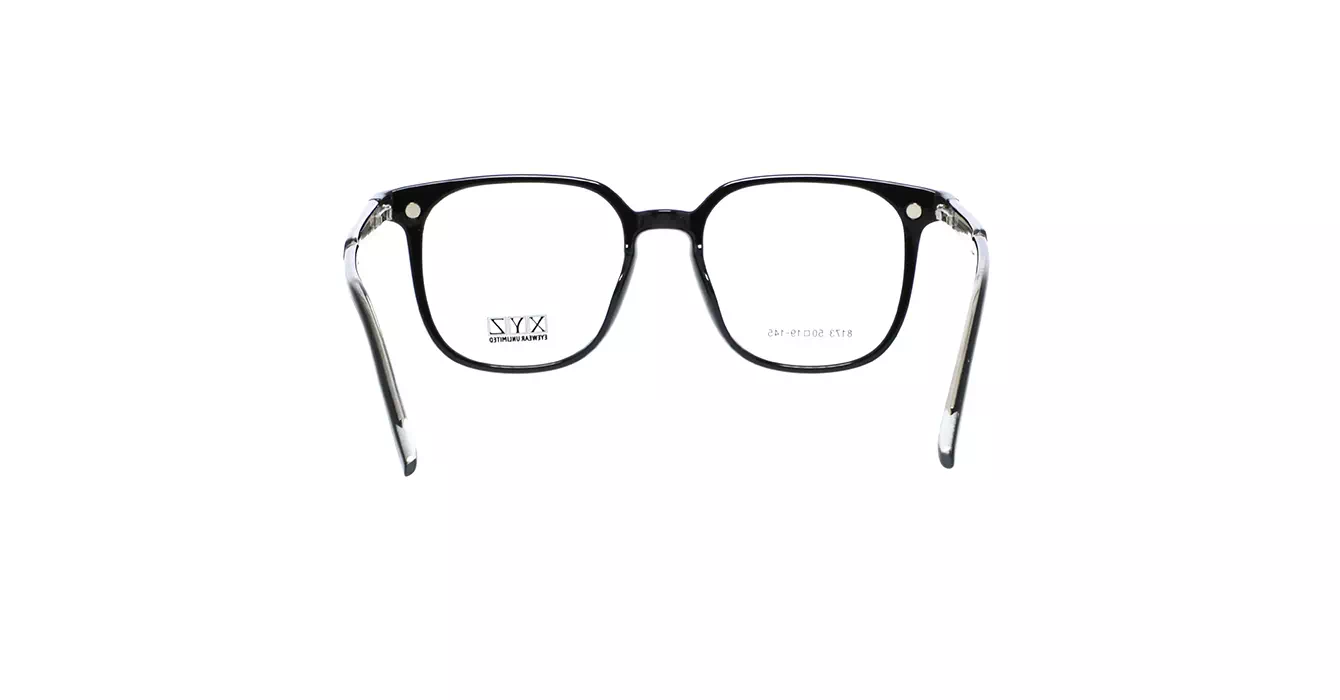 XYZ 8173 C2 s50 + CLIP ON