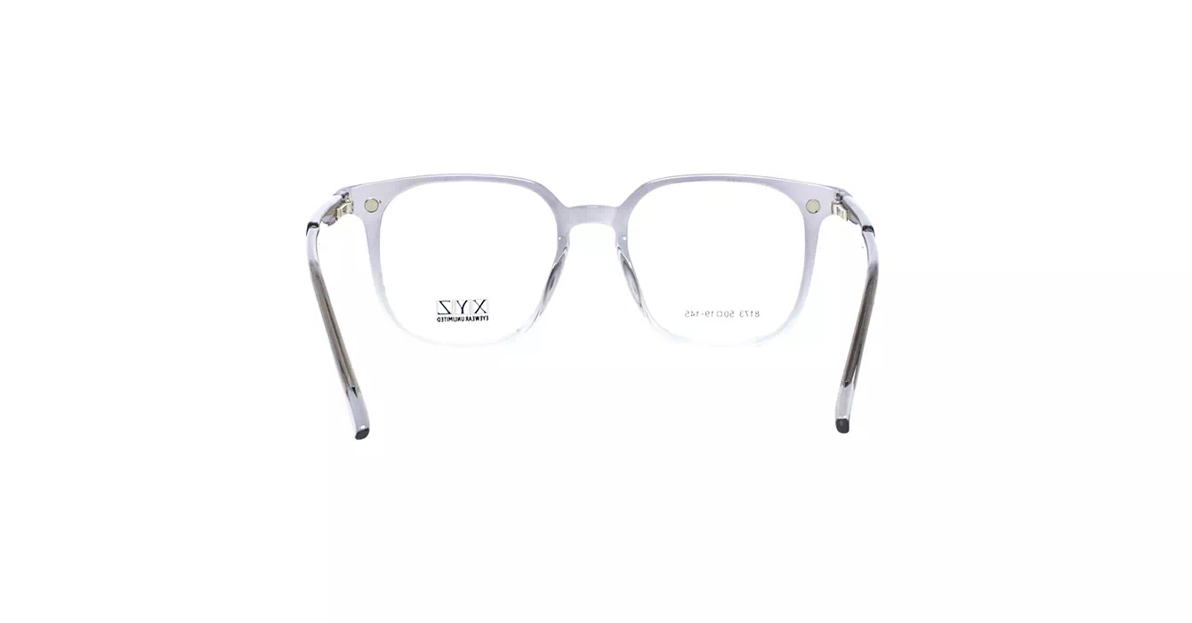 XYZ 8173 C3 s50 + CLIP ON