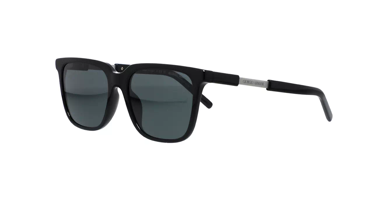 Giorgio Armani AR8202-U 5875/87 s55