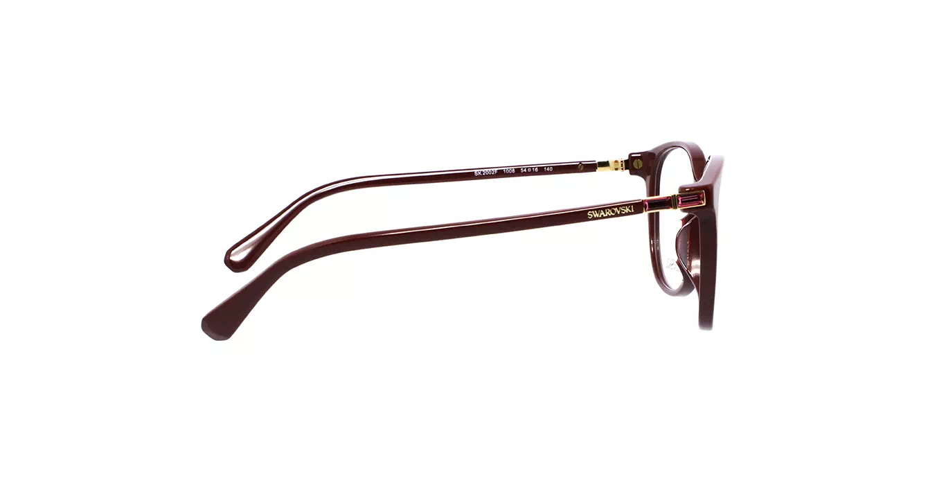 Swarovski SK2002F 1008 s54