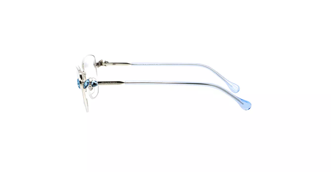 Swarovski SK1006 4020 s55