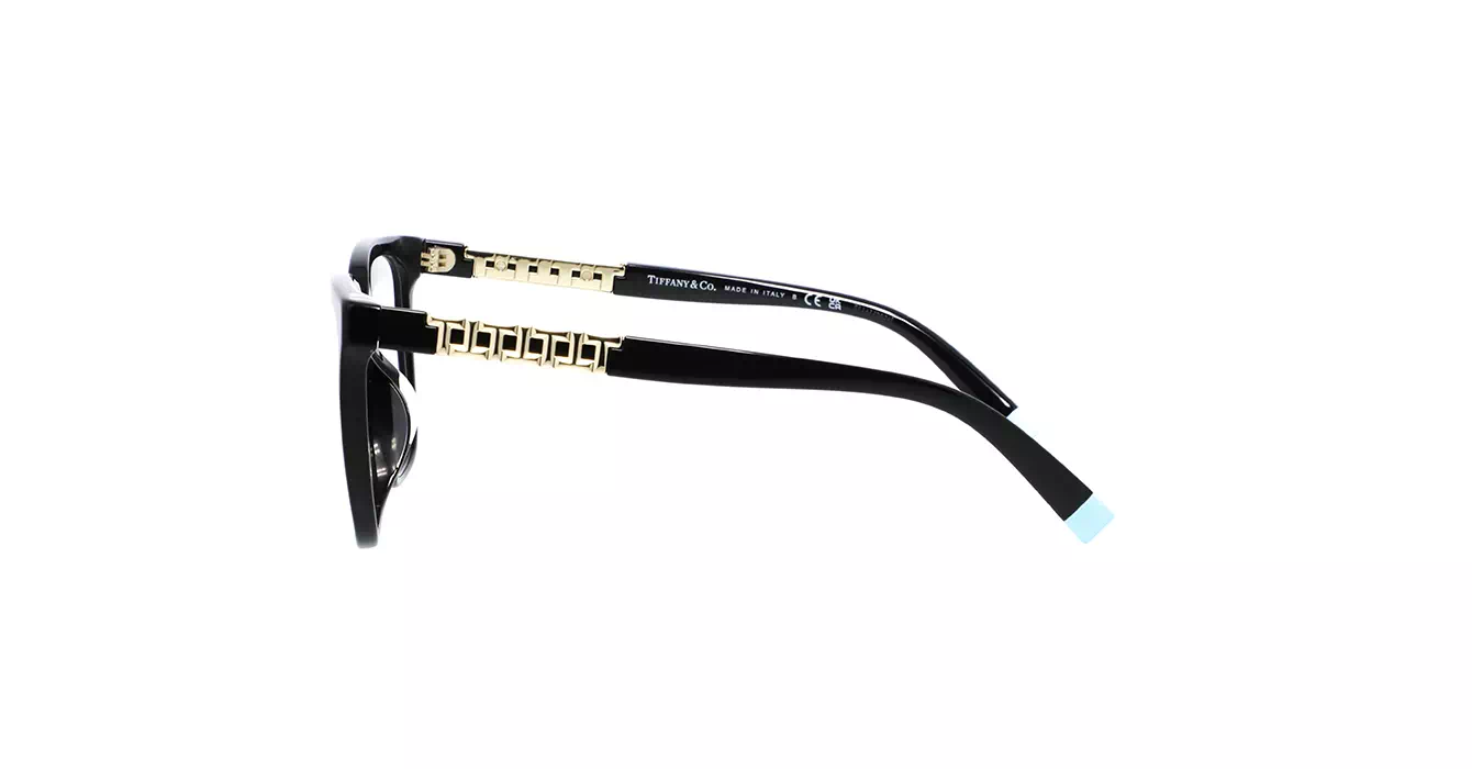 Tiffany&co TF2227-F 8001 s54