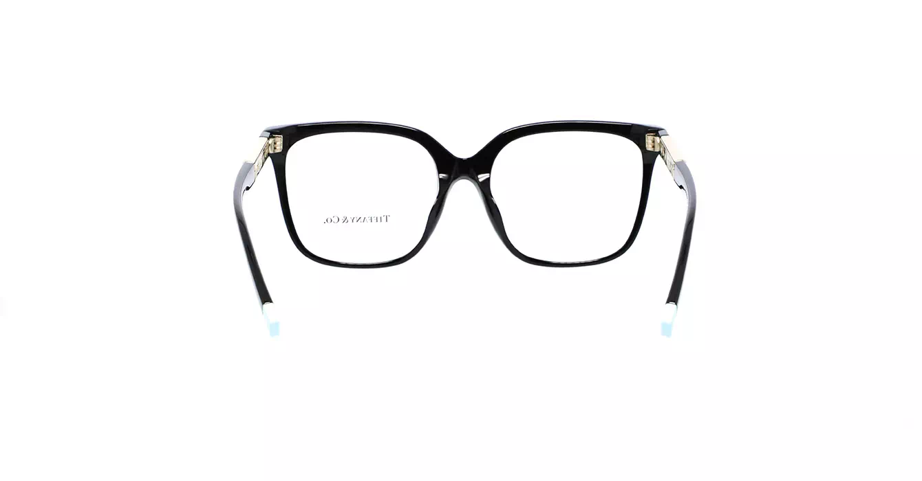 Tiffany&co TF2227-F 8001 s54