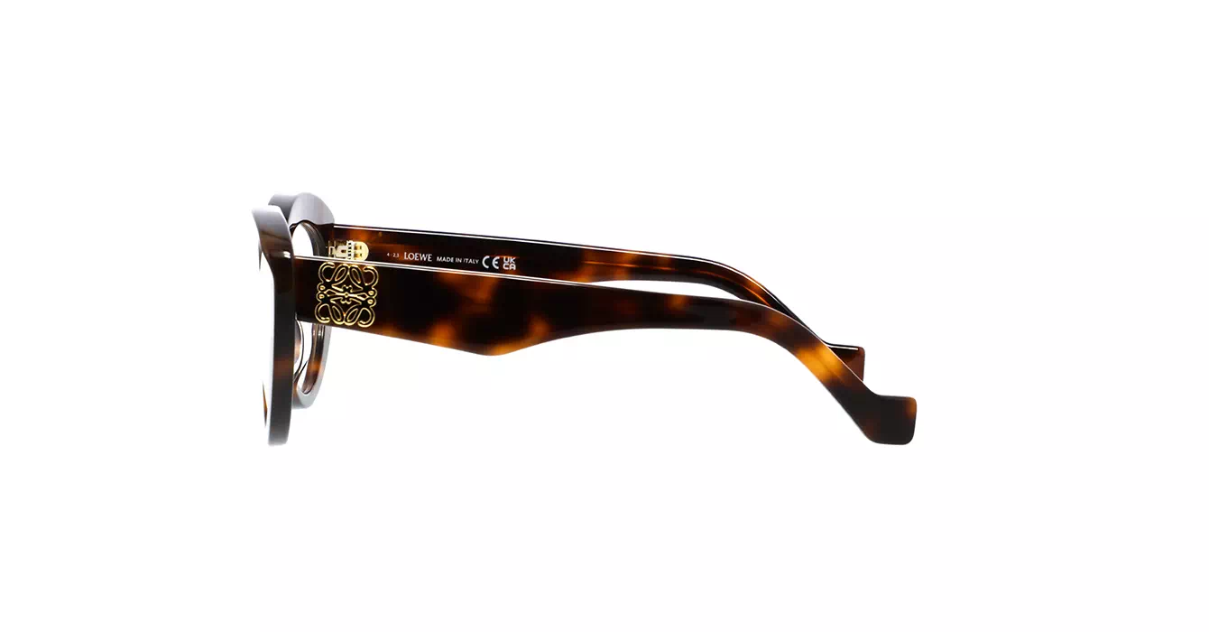 Loewe LW50058I 052 s51