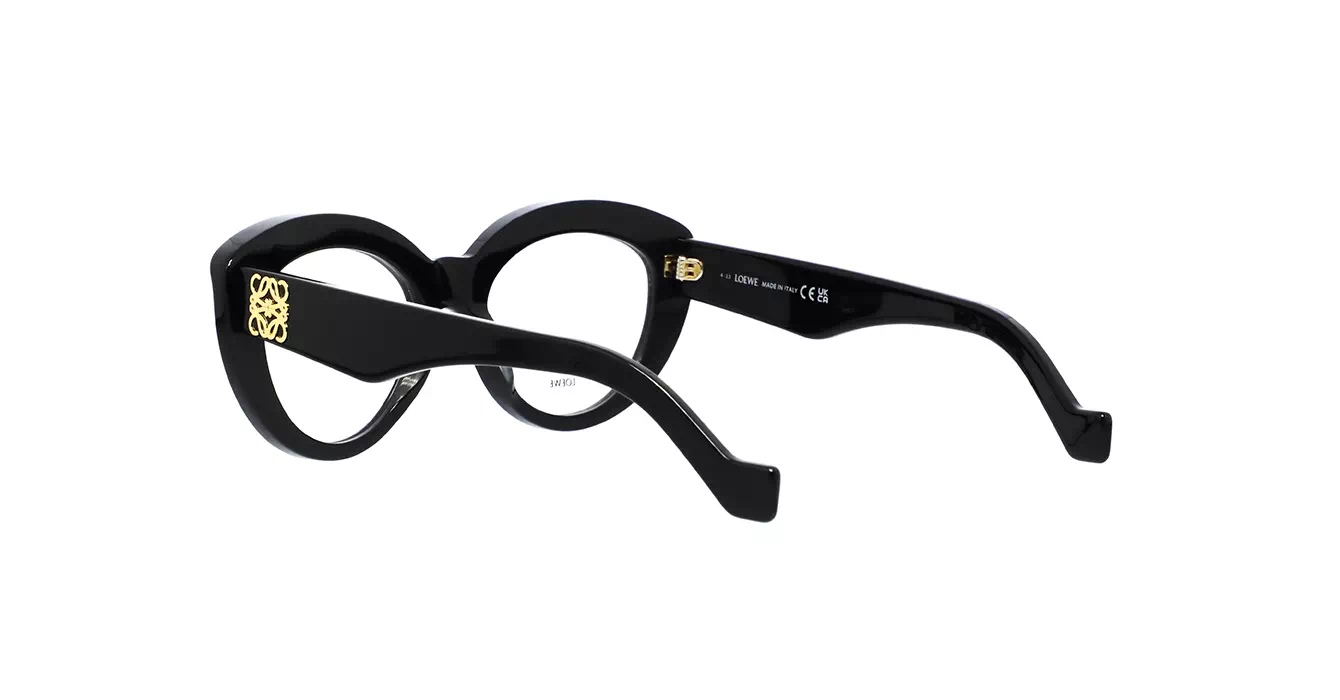 Loewe LW50058I 001 s51