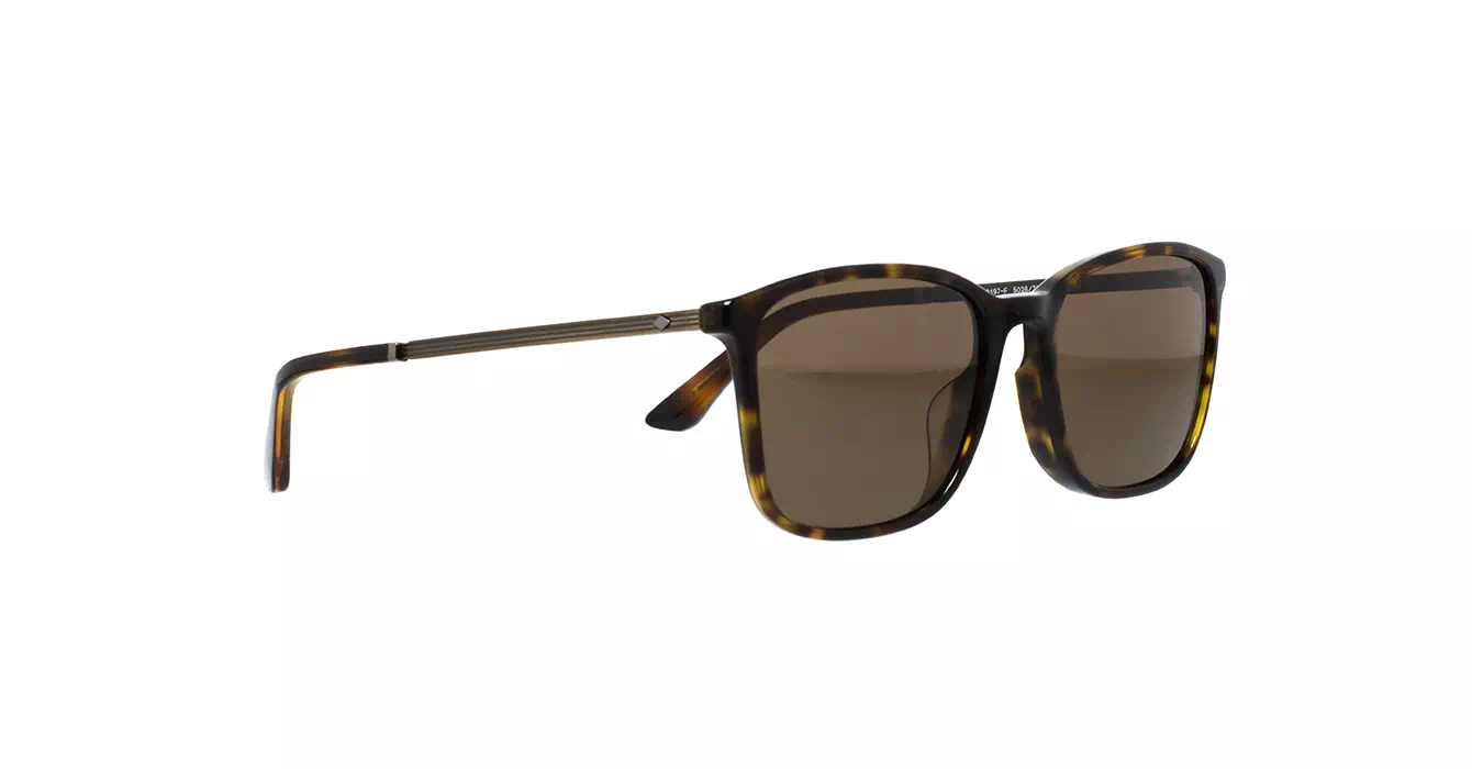 Giorgio Armani AR8197-F 5026/73 s55