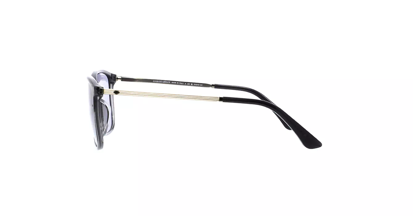 Giorgio Armani AR8197-F 6036/M3 s55
