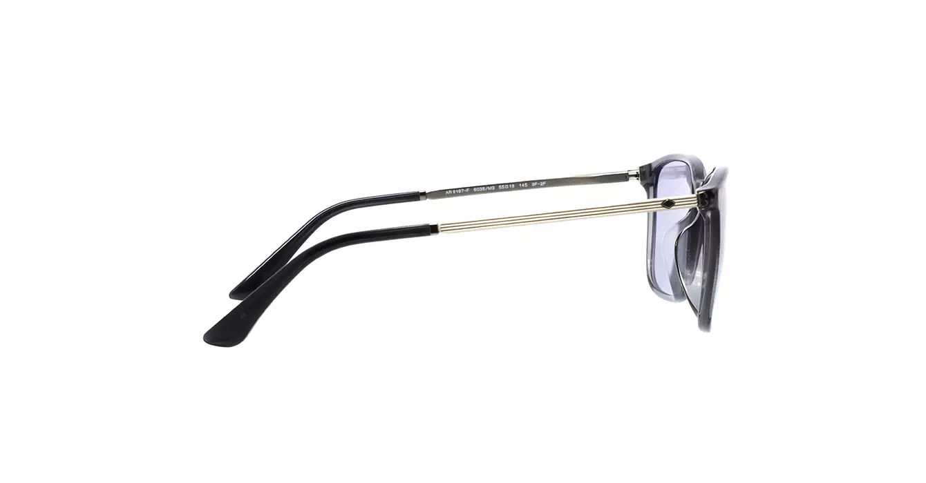 Giorgio Armani AR8197-F 6036/M3 s55