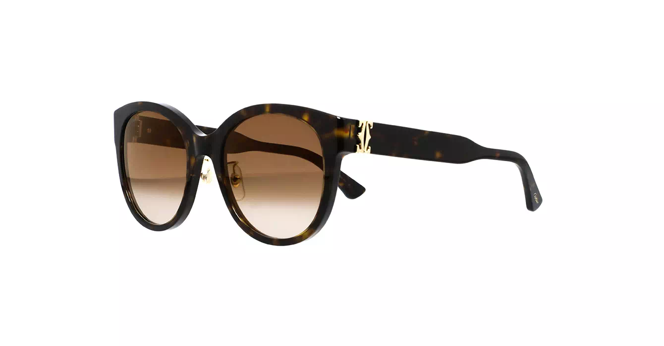 Cartier CT0438SA 002 s56