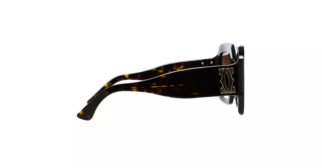 Cartier CT0434S 002 s54