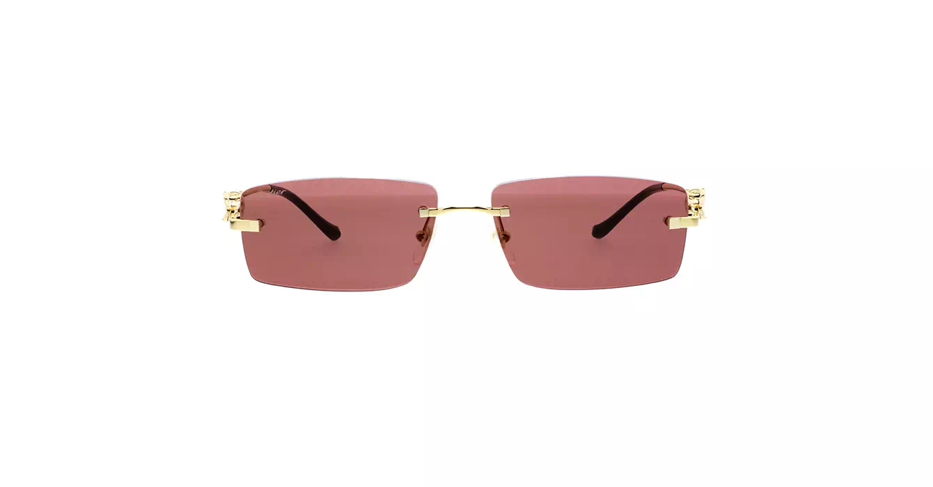 Cartier CT0430S 009 s58