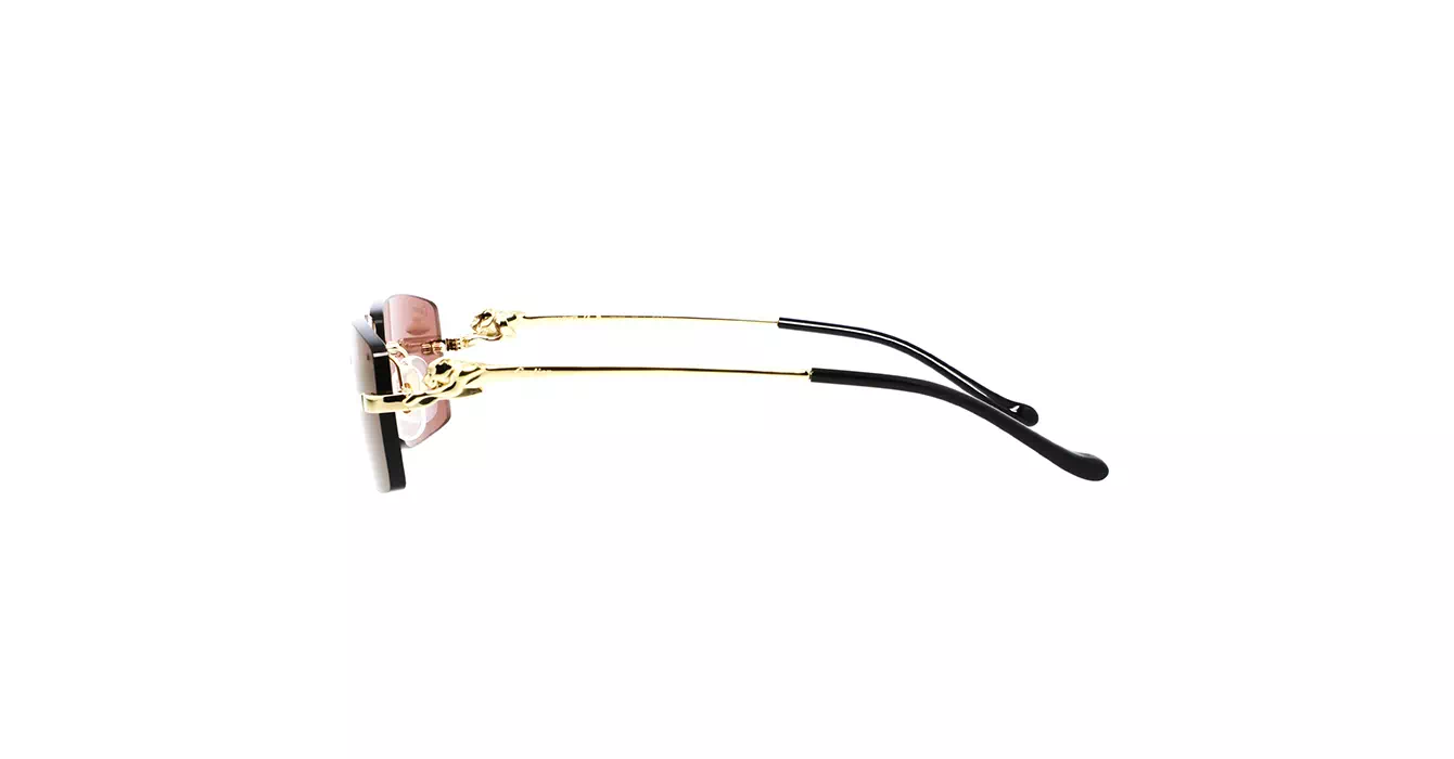 Cartier CT0430S 009 s58