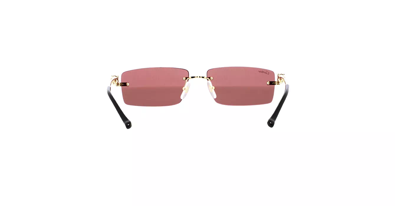 Cartier CT0430S 009 s58