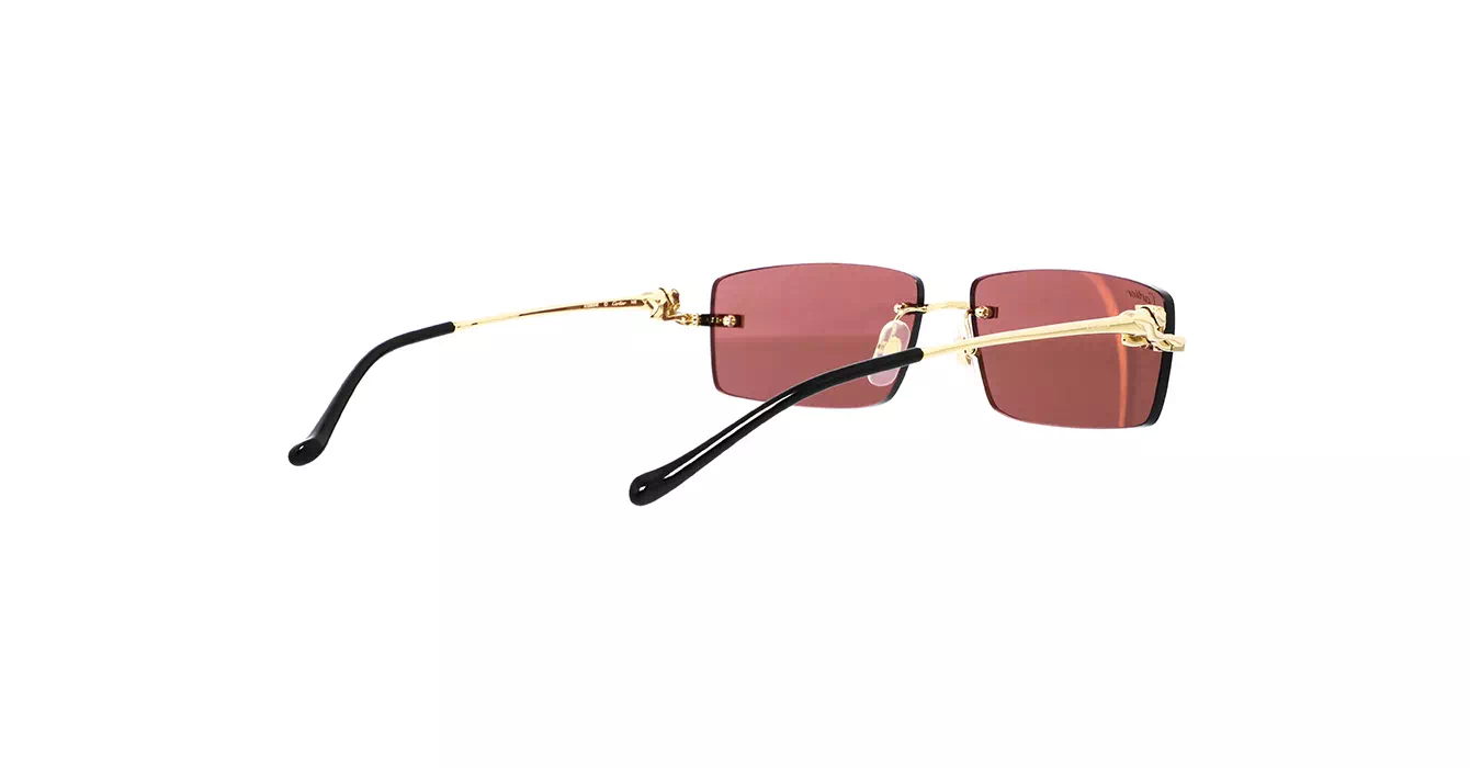 Cartier CT0430S 009 s58