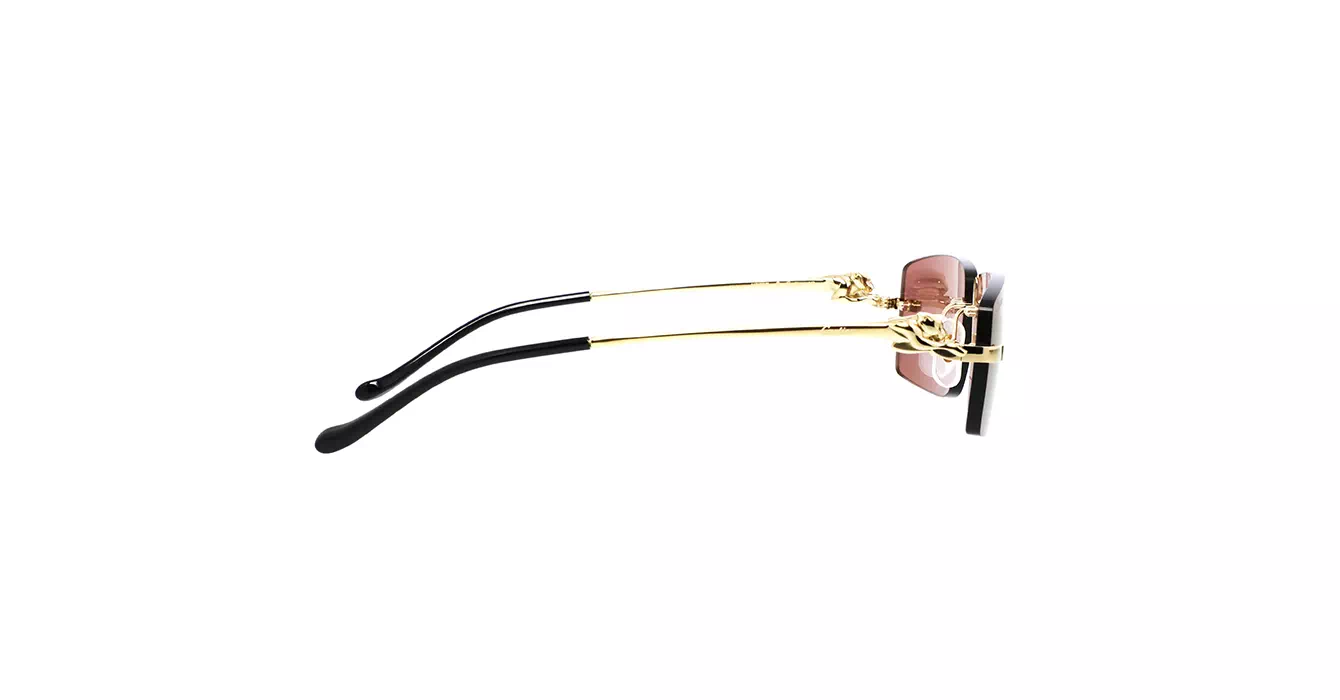 Cartier CT0430S 009 s58