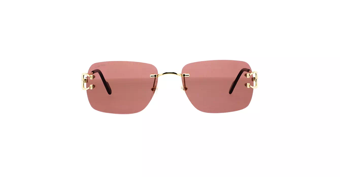 Cartier CT0330S 012 s57