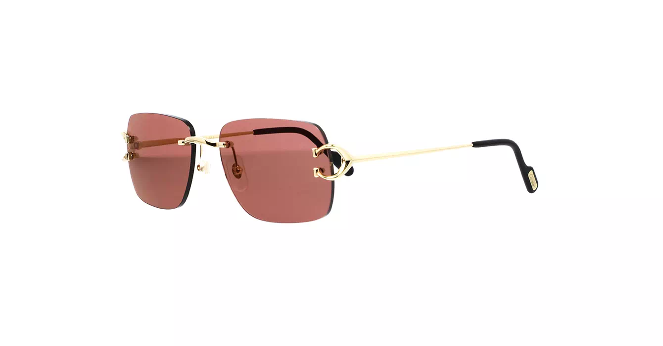 Cartier CT0330S 012 s57
