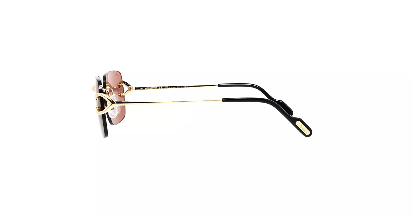 Cartier CT0330S 012 s57