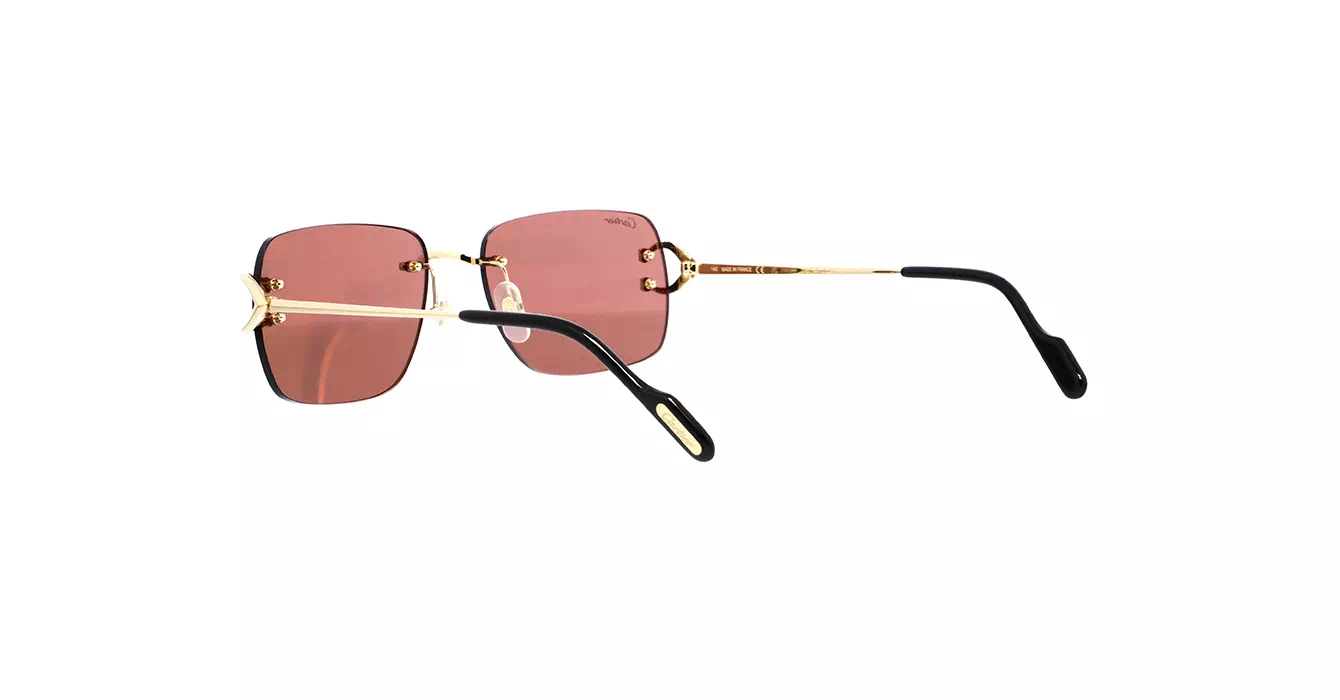 Cartier CT0330S 012 s57