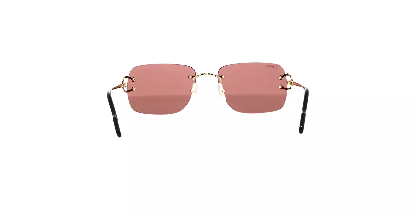Cartier CT0330S 012 s57