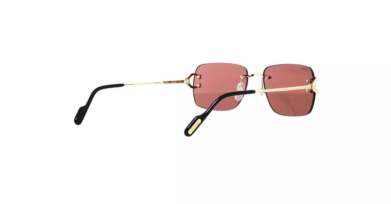 Cartier CT0330S 012 s57