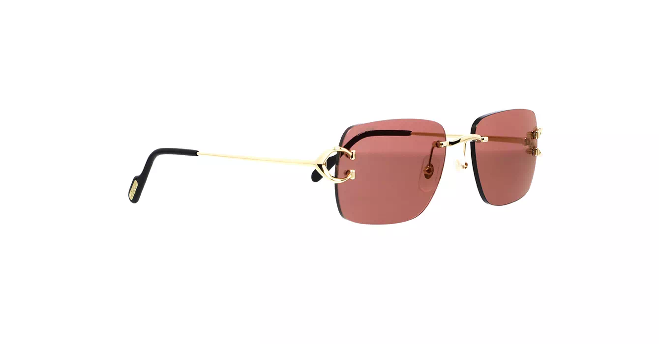 Cartier CT0330S 012 s57