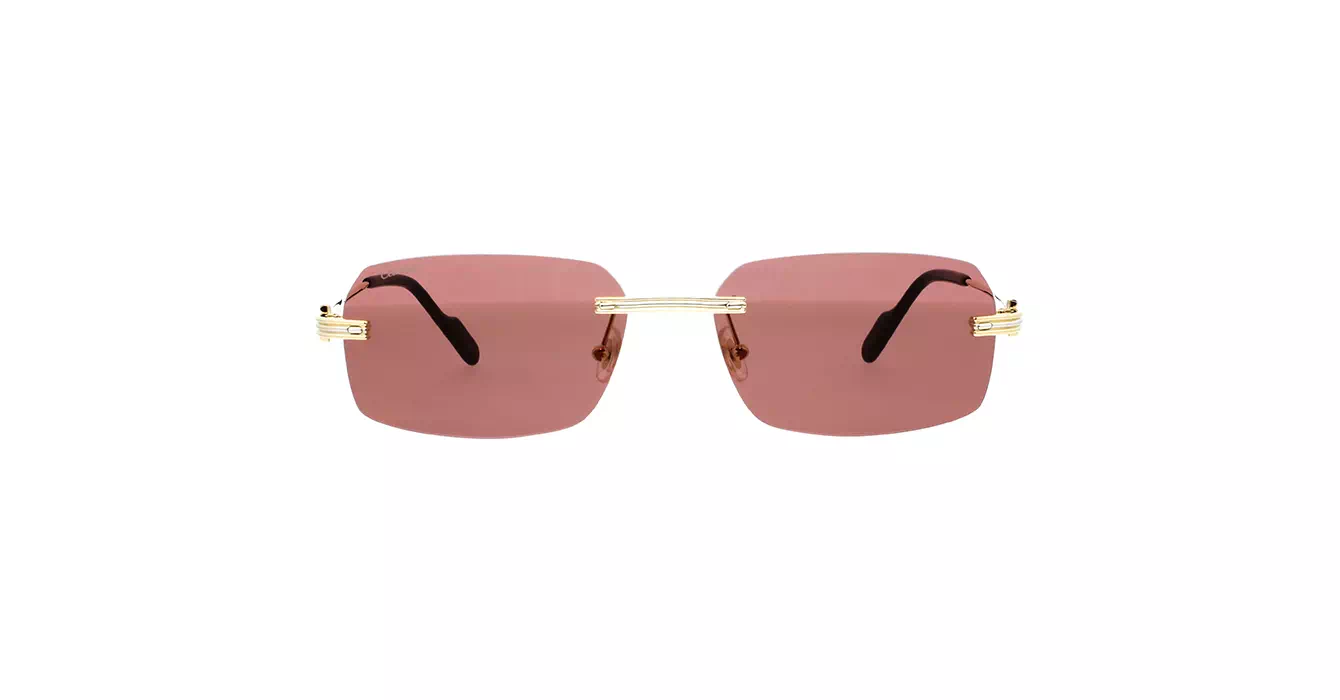 Cartier CT0271S 008 s58