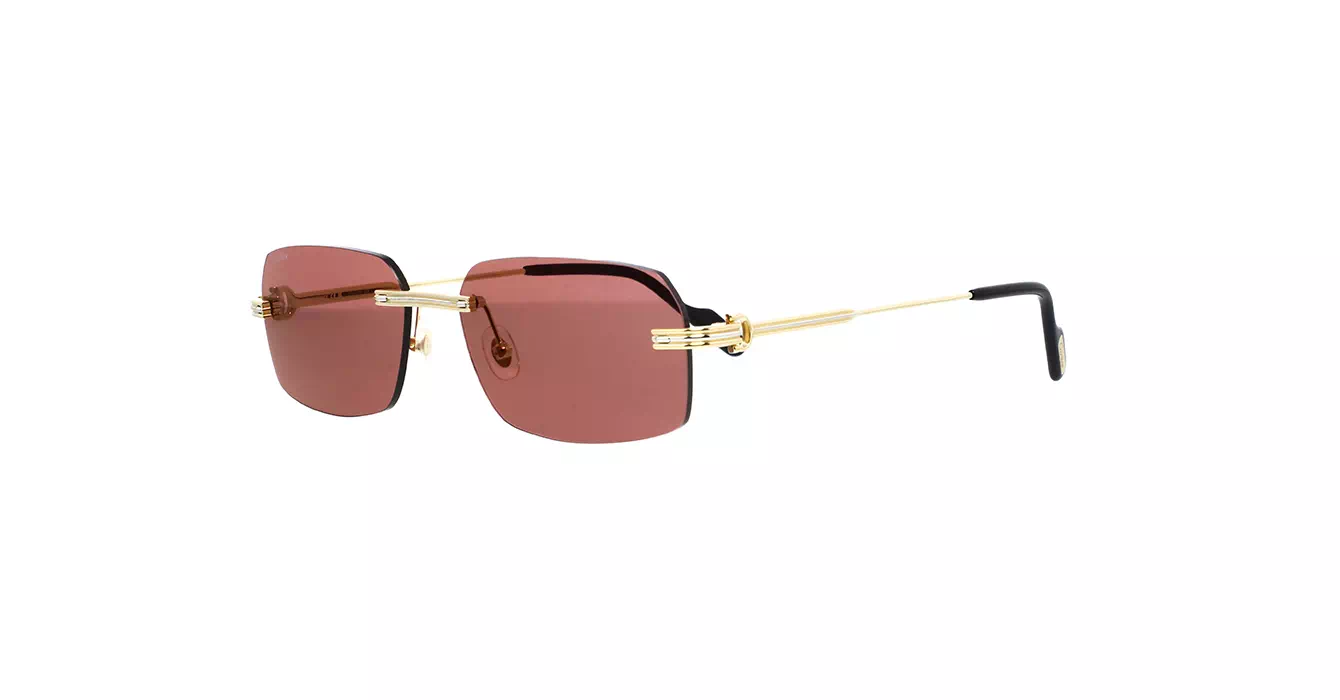 Cartier CT0271S 008 s58