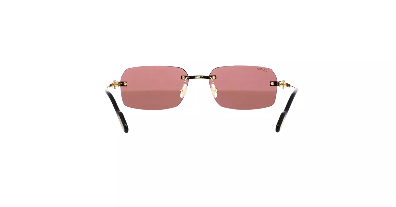 Cartier CT0271S 008 s58