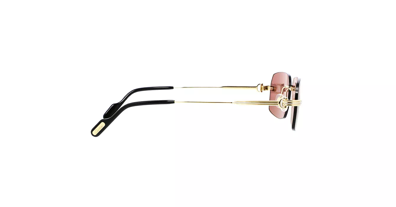Cartier CT0271S 008 s58