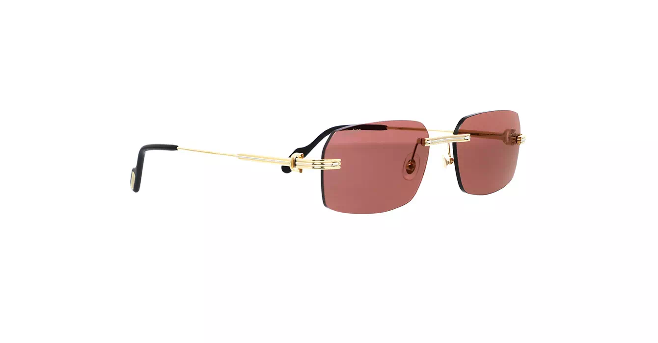 Cartier CT0271S 008 s58