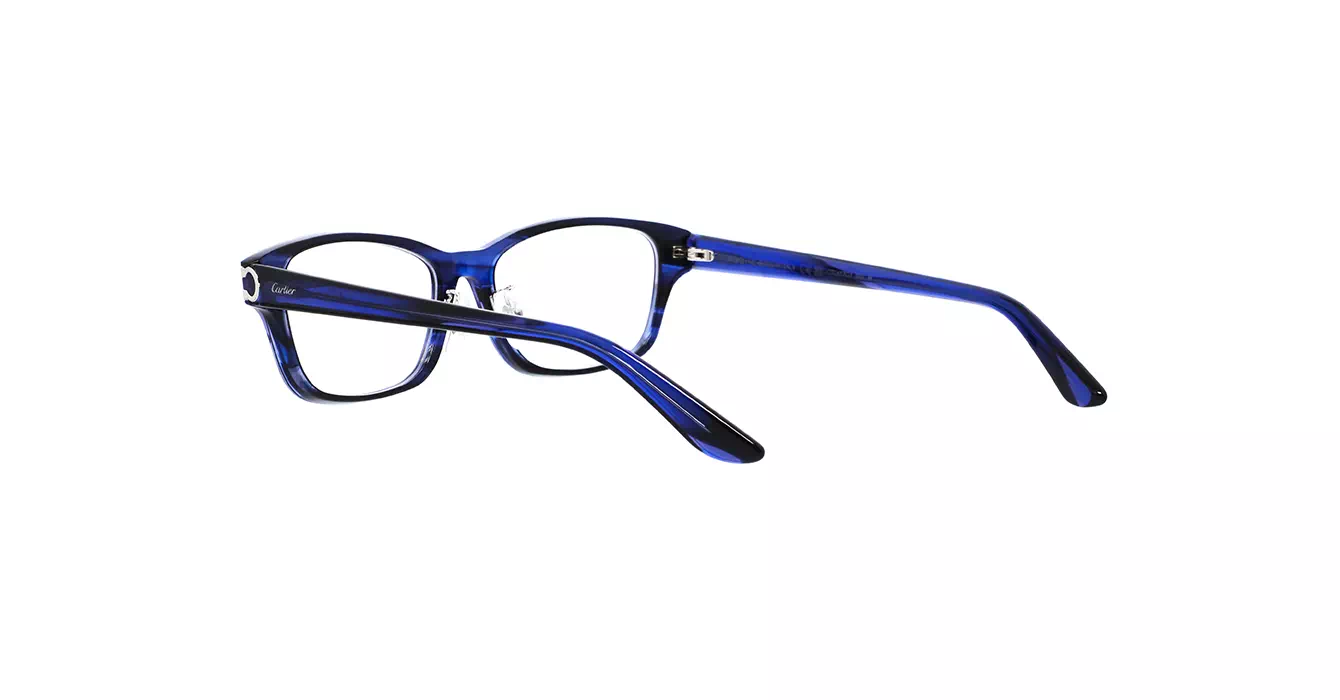 Cartier CT0457OJ 003 s55