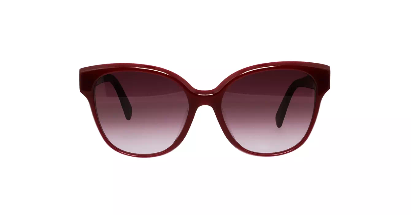 Celine CL40204F 69T s58