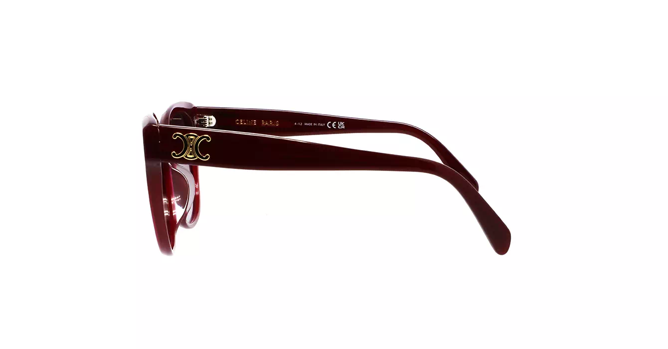Celine CL40204F 69T s58