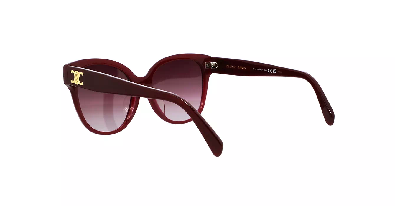 Celine CL40204F 69T s58