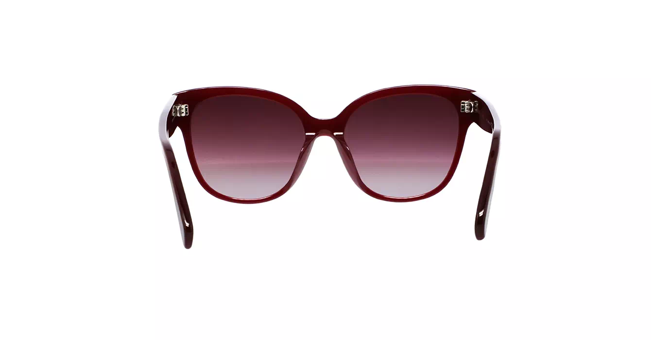 Celine CL40204F 69T s58